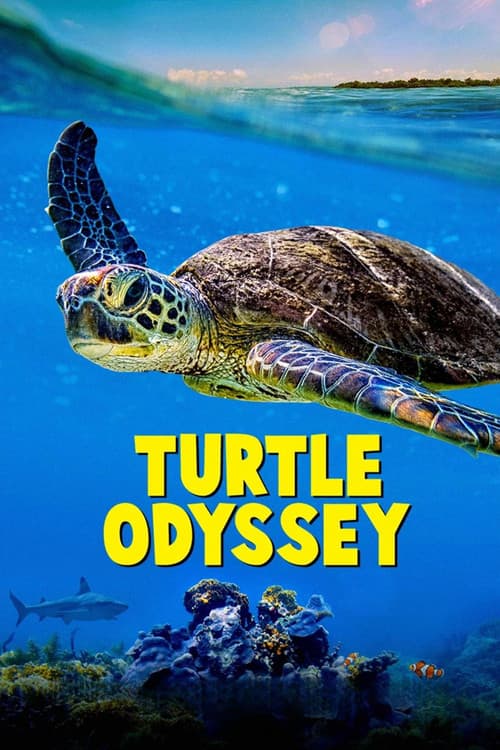 Turtle Odyssey